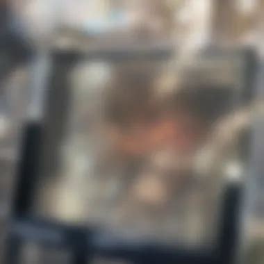 Prostate Cancer Recurrence 的图像结果