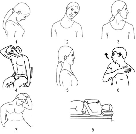 Image result for Neck Muscle Spasm Exercises