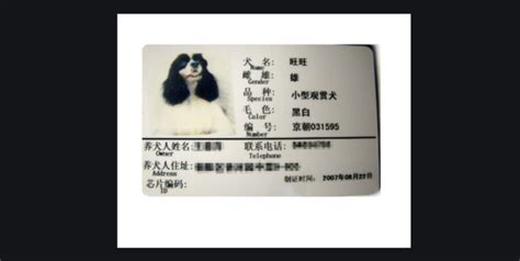 中华田园犬能办狗证了！深圳修改禁养犬，土狗终于不被歧视 - 知乎