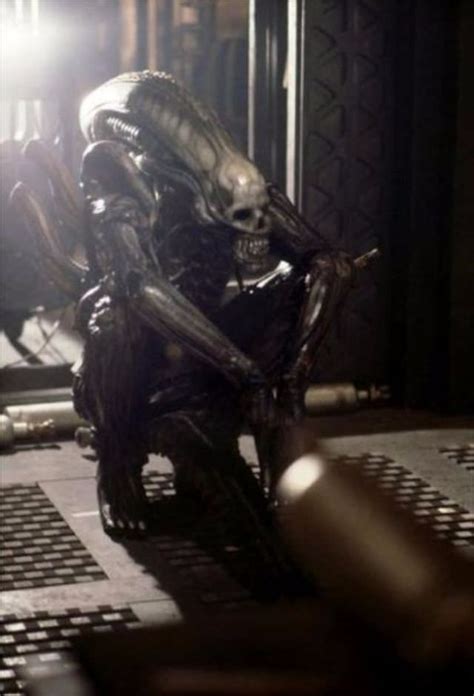 Image result for Alien 1979 Extended Scenes