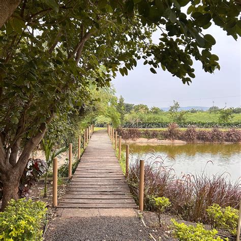 NEERTARU RESORT & WELLNESS (Mhow) - 2026 Resort Reviews & Photos ...