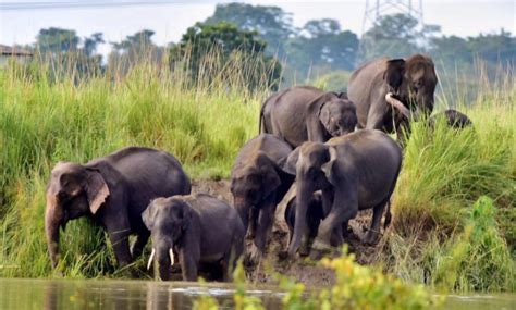 Kerala's Call for Wildlife Protection Act Amendment UPSC