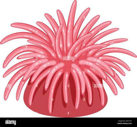 Isolated sea anemones shoreline animal illustration Stock Vector Image ...
