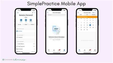 Image result for Simple Practice Website
