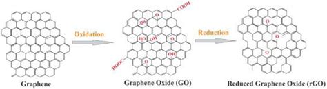 Renewable Carbon Nanomaterials: Novel Resources for Dental Tissue ...