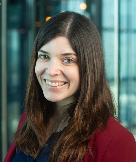 Image result for Haystack Software