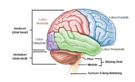 Image result for 3 Modulus 2. Python