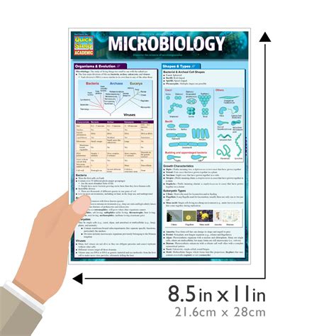 Image result for Microbiology Study Guide