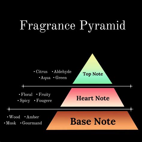 Understanding Fragrance Notes: Top, Middle, and Base – Wisdom Fragrances
