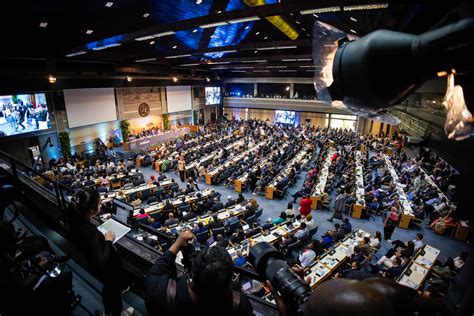 UNEP - UN Environment Programme
