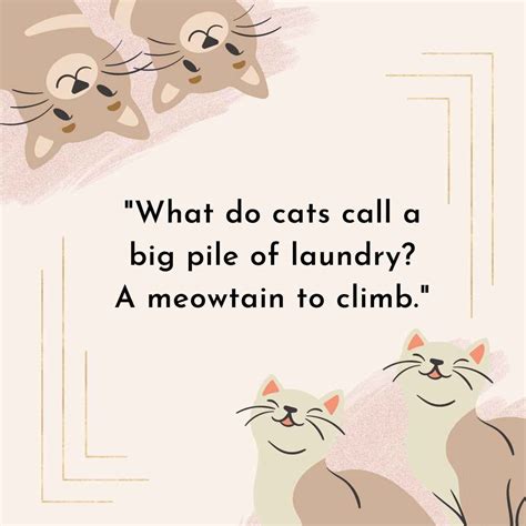 100 Funniest Cat Jokes For You - Gluwee