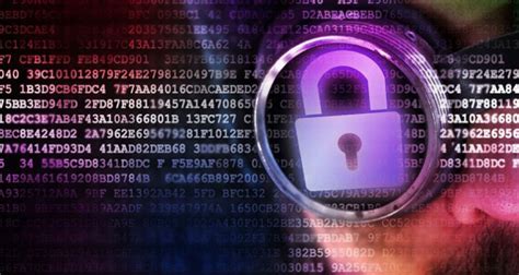 Balancing the Dynamism of Digital Business and Data Security | Webwerks