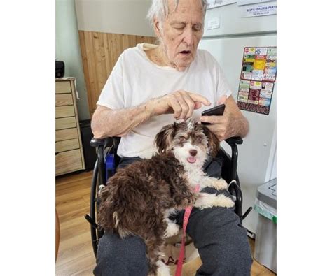 Thomas E. Harvey Obituary (2025) - Wheatfield, IN - Boersma Funeral Home