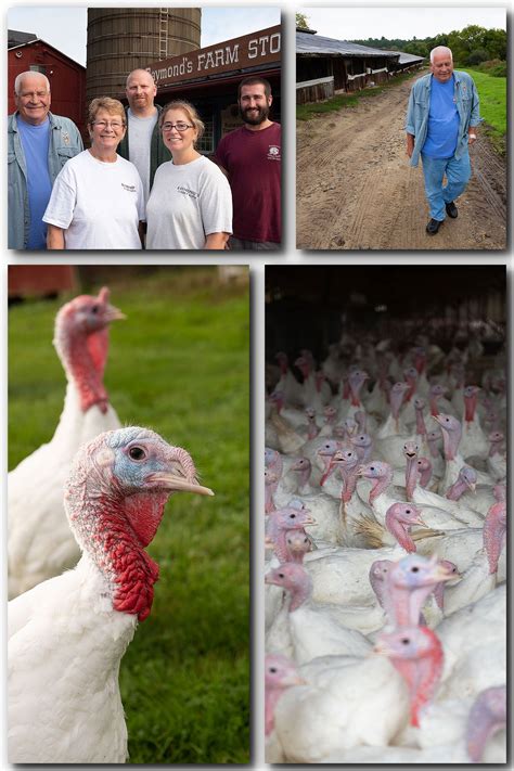 Raymond's Turkey Farm Methuen MA - Harkins Photography