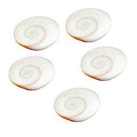 numeroastro Natural Gomti Chakra For Puja (2 Cms Approx) (Set Of 5) - 2 ...