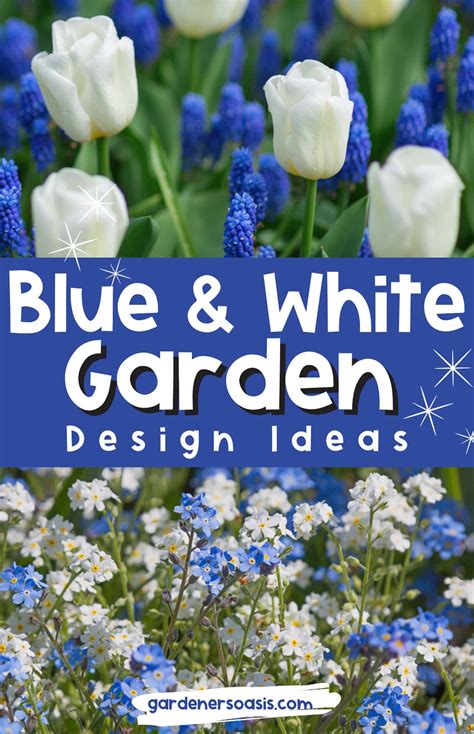 Blue & White Garden Design Ideas | Blue and White Garden