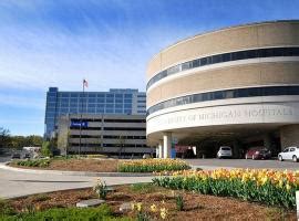 Bachelor of Arts in Philosophy of Neuroethics from University of ...