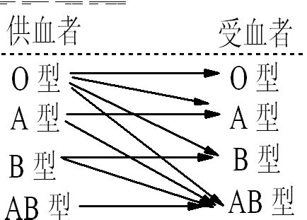 设计一个血型配对指示器_文档下载