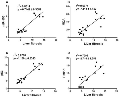 MiR-155 Dysregulation Is Associated with the Augmentation of ROS/p53 ...