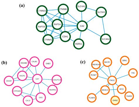 Unlocking the Potential of the CA2, CA7, and ITM2C Gene Signatures for ...