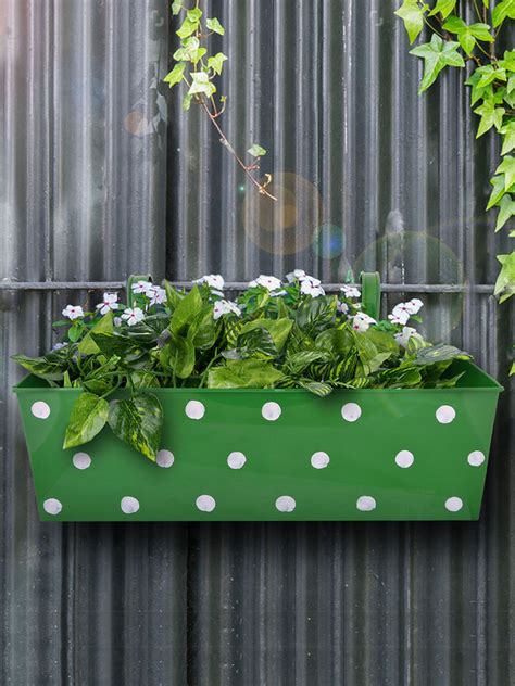 Polka Dot Rectangle Planter Green– Exotic Flora