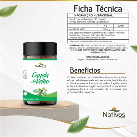 Image result for Defuse Spring Development
