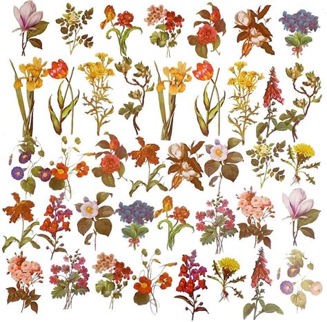 Buy Vintage Flowers Plants Stickers - Doraking 40PCS Peel-Off DIY ...