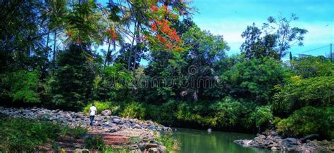 Image result for Cool View