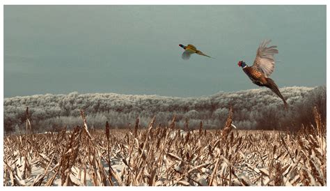 General 3 — Summit Lake