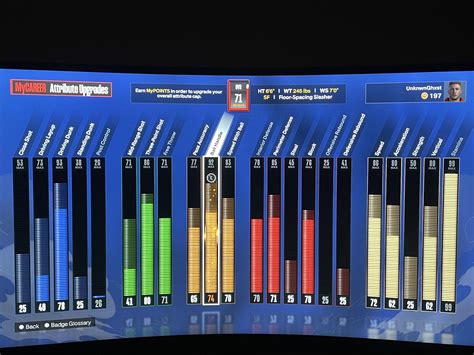 6'6 SF Build (Floor Spacing Slasher) : r/NBA2k