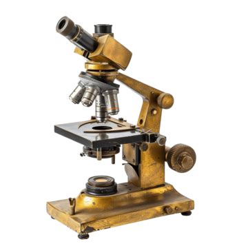 Image result for Compound Microscope PNG