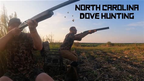 Traditional Dove Hunting in North Carolina "This Is How You Do It ...