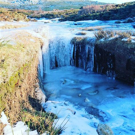 THE 5 BEST Places to Visit in Quenza (2026) - Must-See Attractions