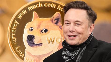 Dogecoin Price Jumps 40% As Elon Musk Buys Twitter