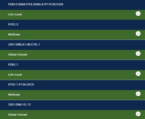 Image result for IPv6 Options