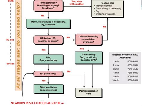 neonatal resuscitation.pptx