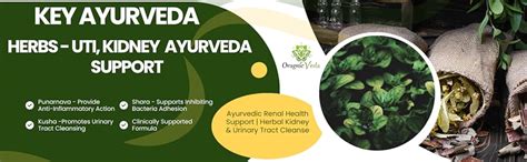 Ayurvedic Renal Health Support Tablets | Herbal Blend for Kidney ...
