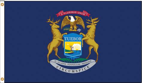 NYLGLO Michigan State Flag, 4 ftH x 6 ftW, Indoor, Outdoor - 5JFJ9 ...