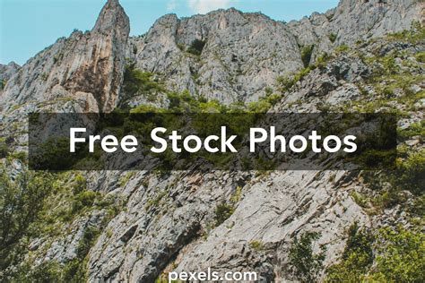 Image result for High Defintion Trees