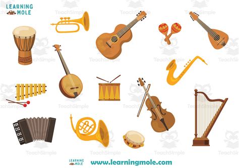 Image result for Orchestral Instruments Tutorial