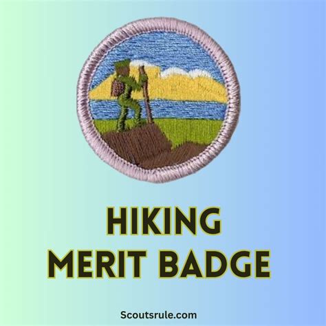 Citizenship in the Community Merit Badge - Scouts Rule