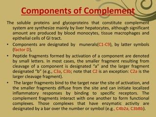 Rezultat imagine pentru What Is a Complement System