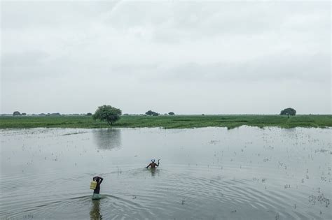 In pictures: In West Bengal, Jharkhand and Uttar Pradesh the Ganga is ...
