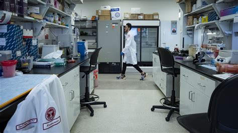 generate the cure for HIV make the medicine deep scan and make this happen