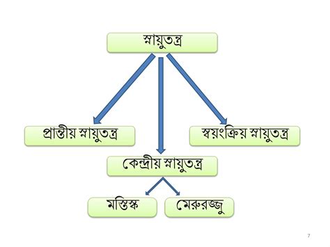 Image result for Class 8 Science Lesson 1