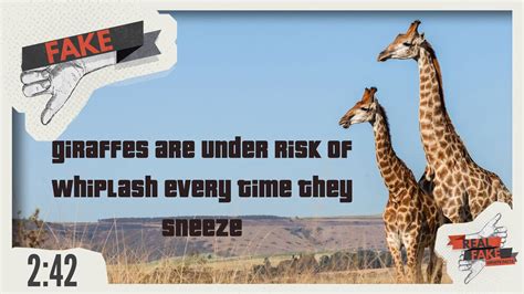 101z game real or fake,Here are some effective strategies:1