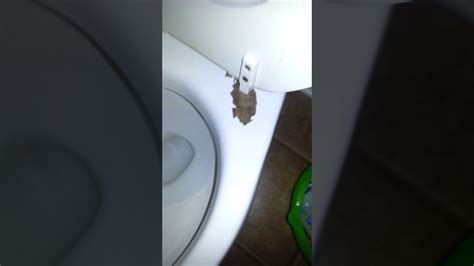 Image result for Modeling Paste Craft Ideas