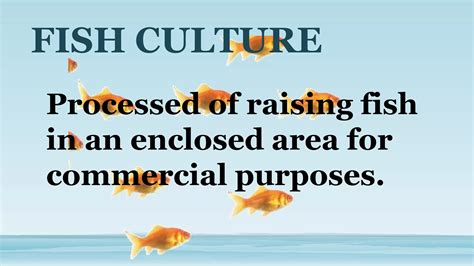 Phases of the fish culture | PPTX