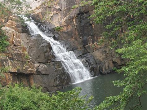 THE BEST Places to Visit in Giddalur (2026) - Must-See Attractions
