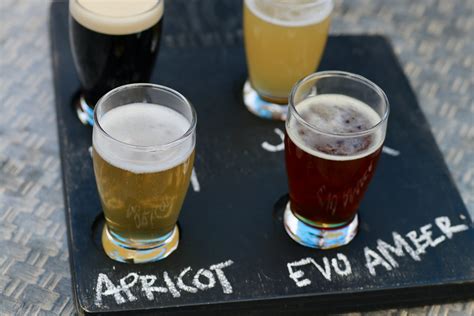 Wasatch Brewery Celebrates 35 Years · Dishing Park City